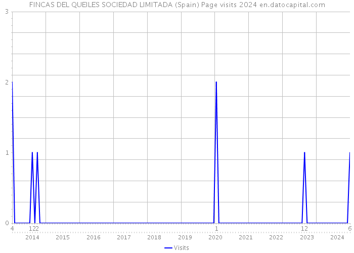 FINCAS DEL QUEILES SOCIEDAD LIMITADA (Spain) Page visits 2024 