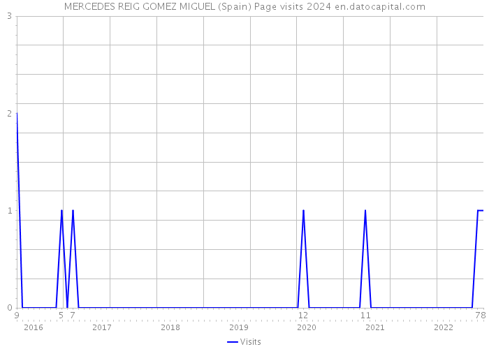 MERCEDES REIG GOMEZ MIGUEL (Spain) Page visits 2024 