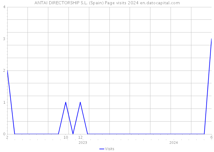 ANTAI DIRECTORSHIP S.L. (Spain) Page visits 2024 