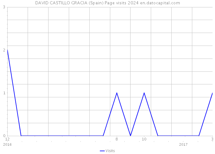 DAVID CASTILLO GRACIA (Spain) Page visits 2024 