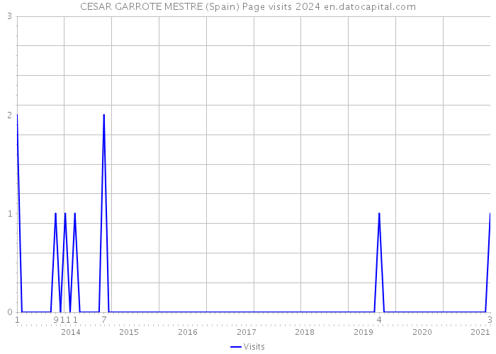 CESAR GARROTE MESTRE (Spain) Page visits 2024 