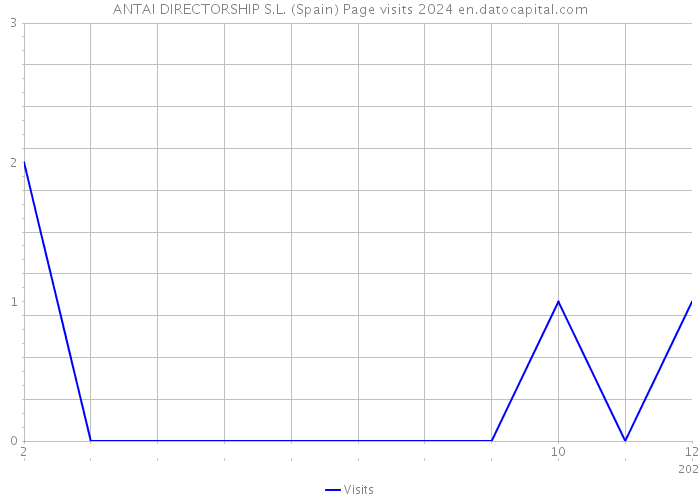 ANTAI DIRECTORSHIP S.L. (Spain) Page visits 2024 