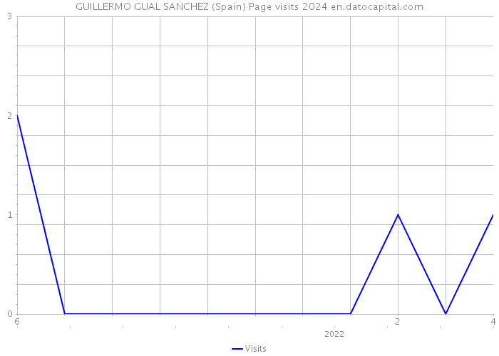 GUILLERMO GUAL SANCHEZ (Spain) Page visits 2024 