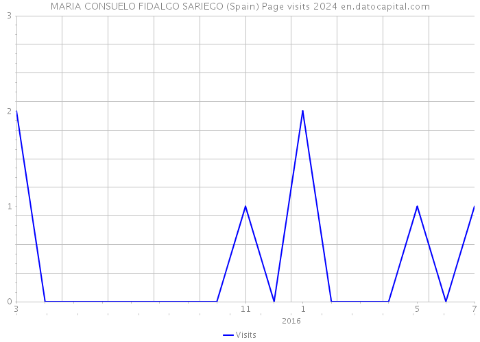 MARIA CONSUELO FIDALGO SARIEGO (Spain) Page visits 2024 