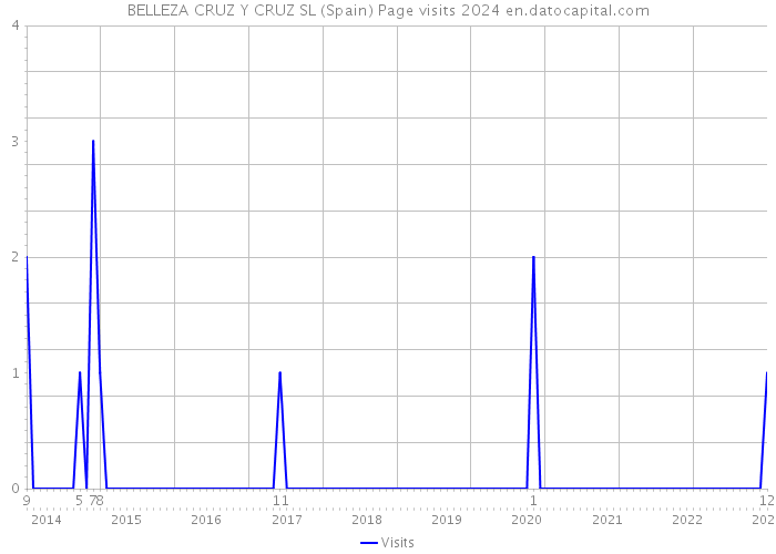 BELLEZA CRUZ Y CRUZ SL (Spain) Page visits 2024 