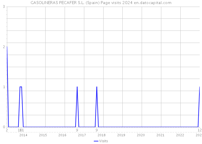 GASOLINERAS PECAFER S.L. (Spain) Page visits 2024 