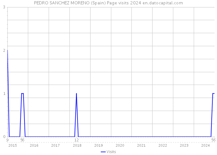 PEDRO SANCHEZ MORENO (Spain) Page visits 2024 