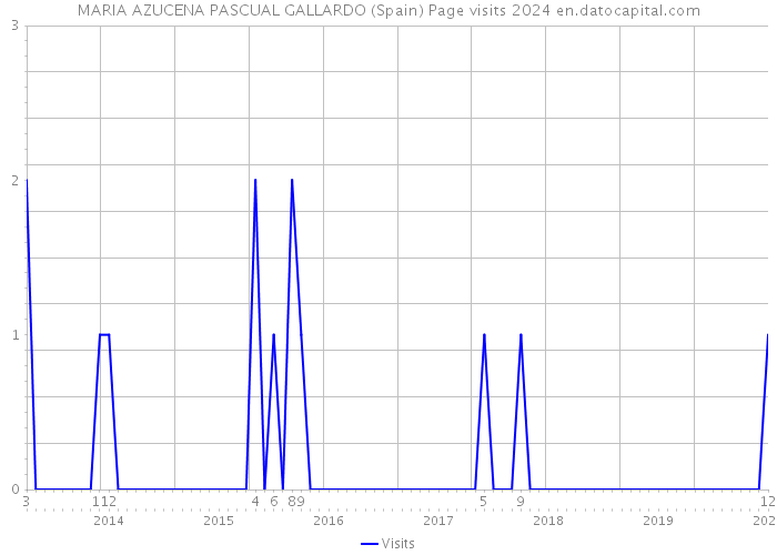MARIA AZUCENA PASCUAL GALLARDO (Spain) Page visits 2024 