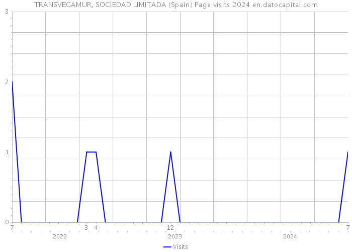 TRANSVEGAMUR, SOCIEDAD LIMITADA (Spain) Page visits 2024 