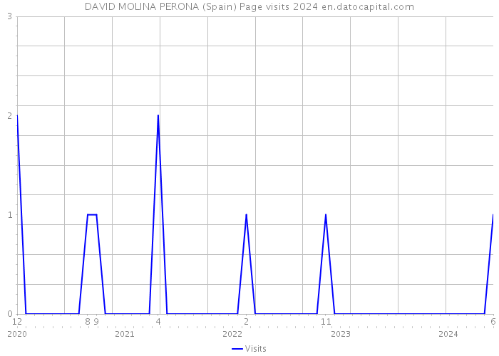 DAVID MOLINA PERONA (Spain) Page visits 2024 