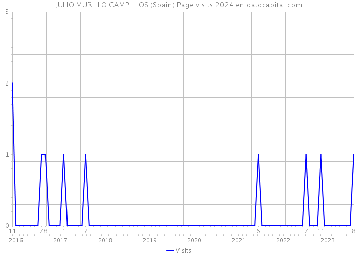 JULIO MURILLO CAMPILLOS (Spain) Page visits 2024 