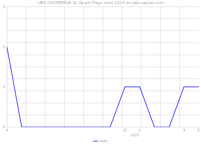 UBIS CHOPERENA SL (Spain) Page visits 2024 