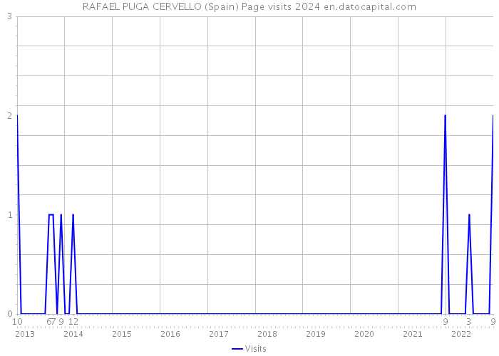 RAFAEL PUGA CERVELLO (Spain) Page visits 2024 