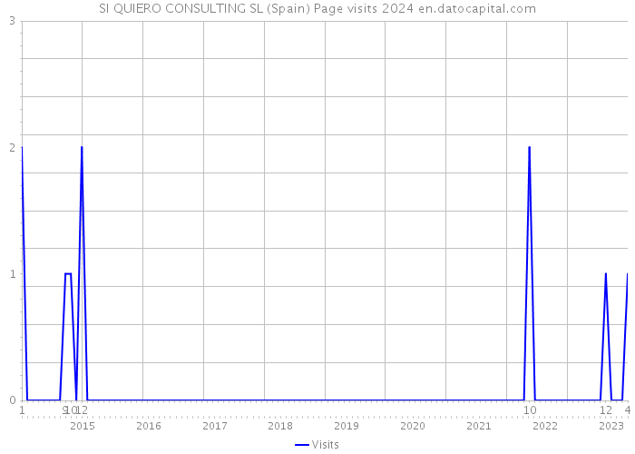 SI QUIERO CONSULTING SL (Spain) Page visits 2024 