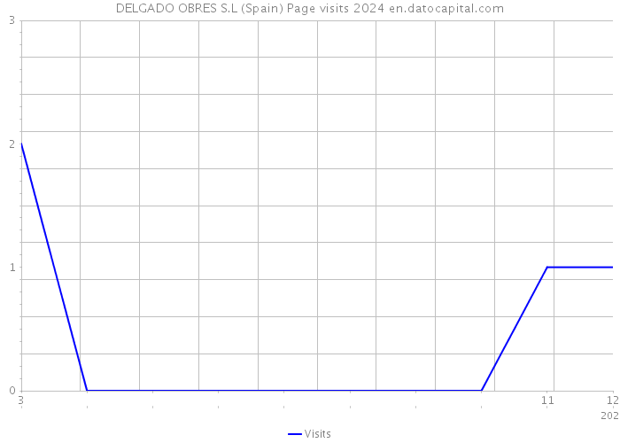 DELGADO OBRES S.L (Spain) Page visits 2024 