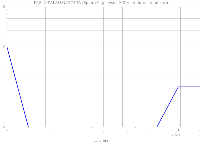 PABLO PALAU GARCERA (Spain) Page visits 2024 