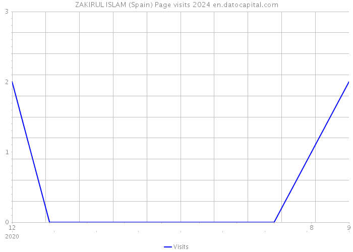 ZAKIRUL ISLAM (Spain) Page visits 2024 