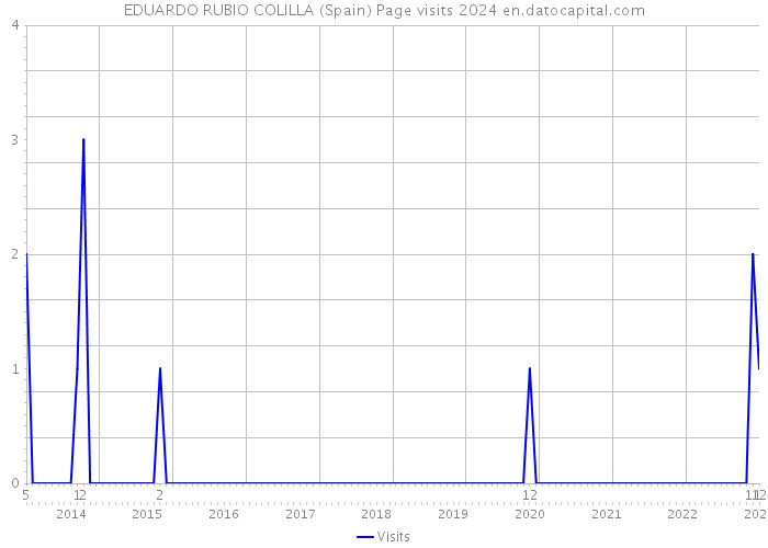 EDUARDO RUBIO COLILLA (Spain) Page visits 2024 