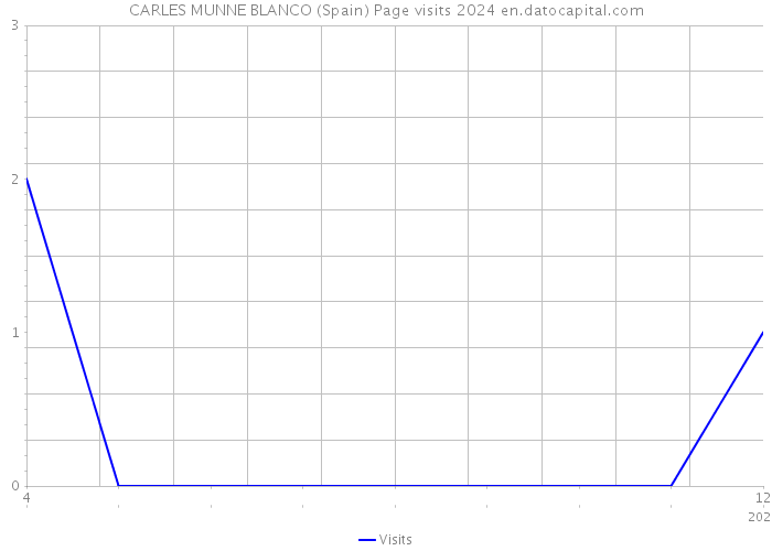 CARLES MUNNE BLANCO (Spain) Page visits 2024 