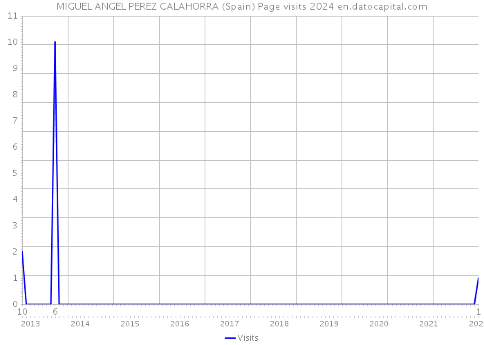 MIGUEL ANGEL PEREZ CALAHORRA (Spain) Page visits 2024 