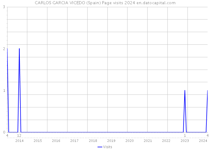 CARLOS GARCIA VICEDO (Spain) Page visits 2024 