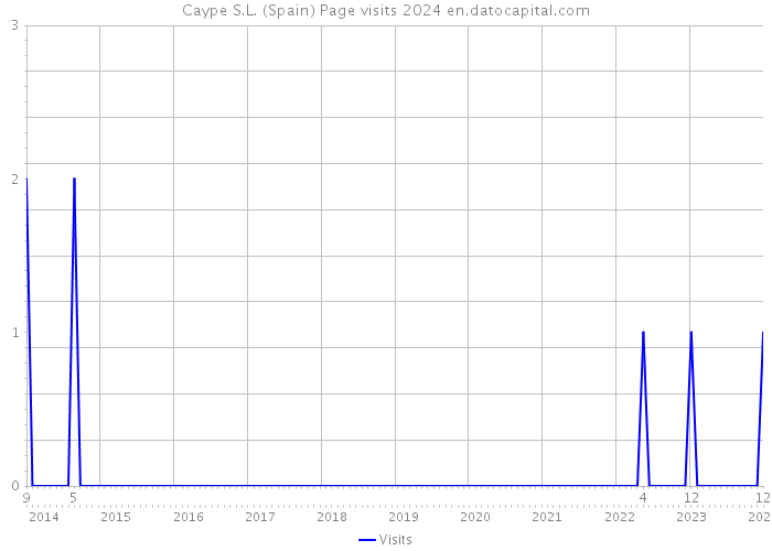 Caype S.L. (Spain) Page visits 2024 