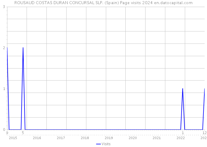 ROUSAUD COSTAS DURAN CONCURSAL SLP. (Spain) Page visits 2024 