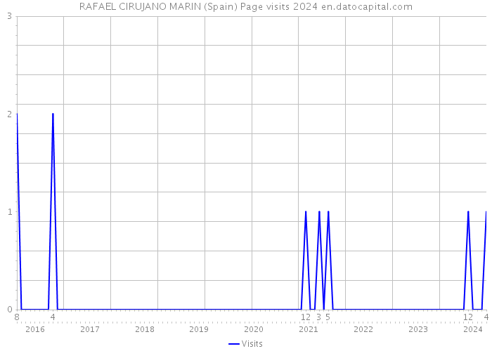 RAFAEL CIRUJANO MARIN (Spain) Page visits 2024 