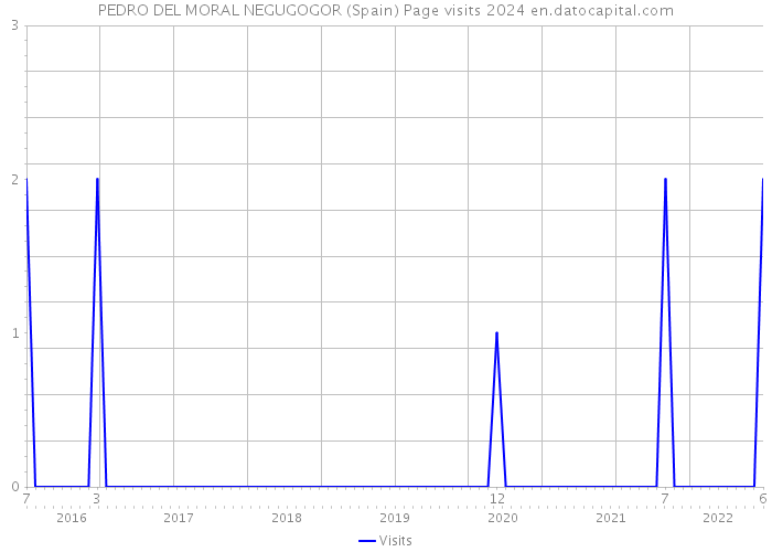 PEDRO DEL MORAL NEGUGOGOR (Spain) Page visits 2024 