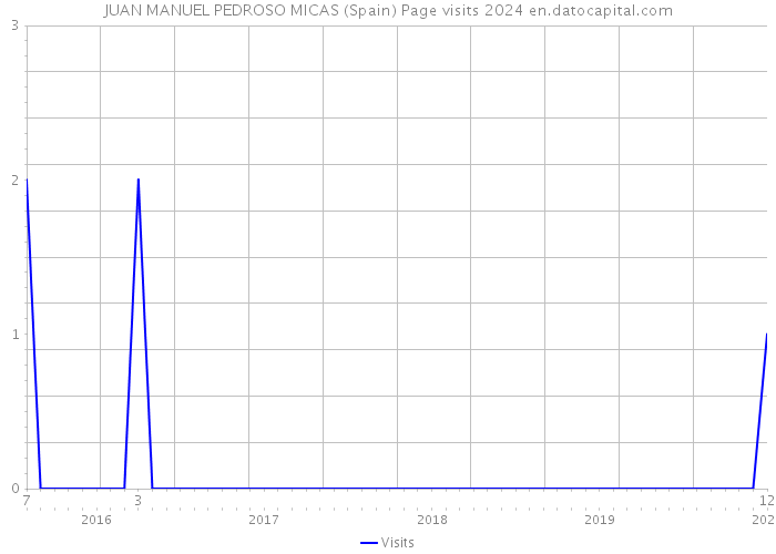JUAN MANUEL PEDROSO MICAS (Spain) Page visits 2024 