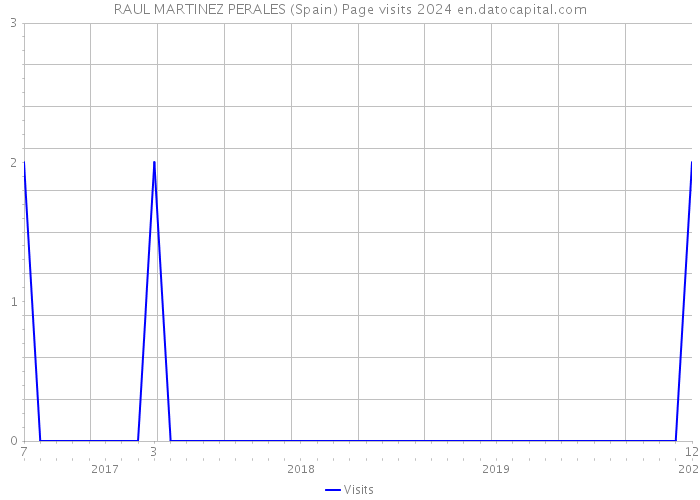 RAUL MARTINEZ PERALES (Spain) Page visits 2024 