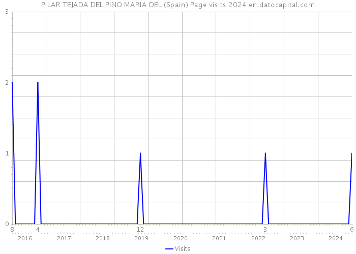 PILAR TEJADA DEL PINO MARIA DEL (Spain) Page visits 2024 