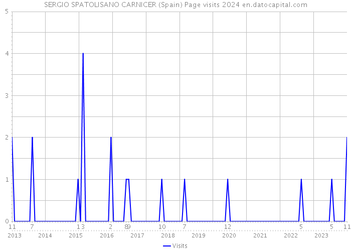SERGIO SPATOLISANO CARNICER (Spain) Page visits 2024 