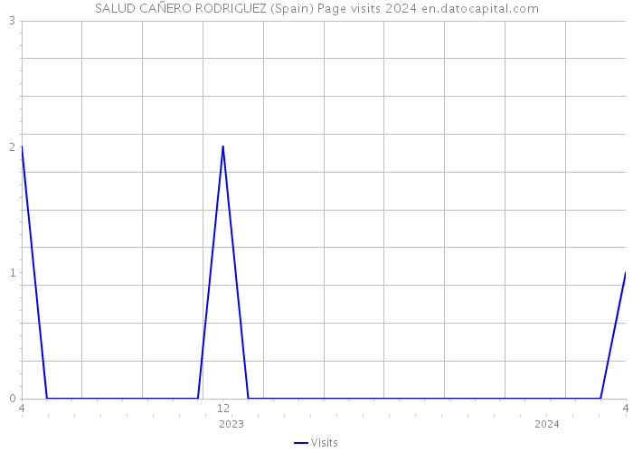 SALUD CAÑERO RODRIGUEZ (Spain) Page visits 2024 