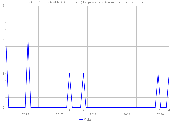 RAUL YECORA VERDUGO (Spain) Page visits 2024 