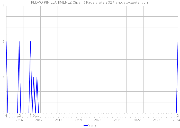 PEDRO PINILLA JIMENEZ (Spain) Page visits 2024 