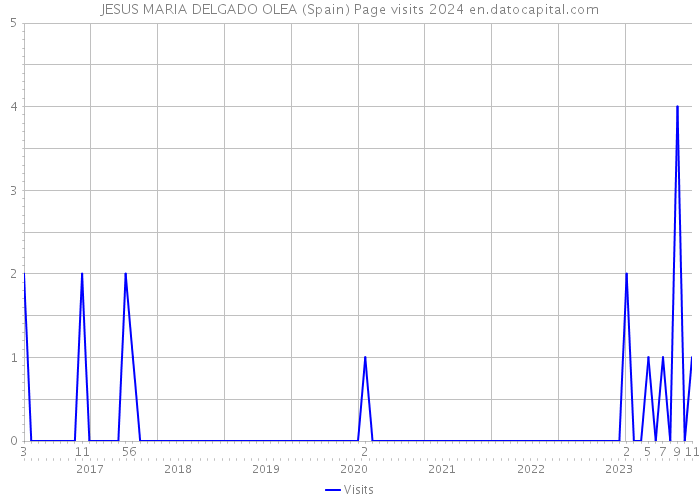 JESUS MARIA DELGADO OLEA (Spain) Page visits 2024 