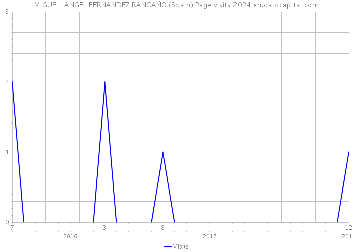 MIGUEL-ANGEL FERNANDEZ RANCAÑO (Spain) Page visits 2024 