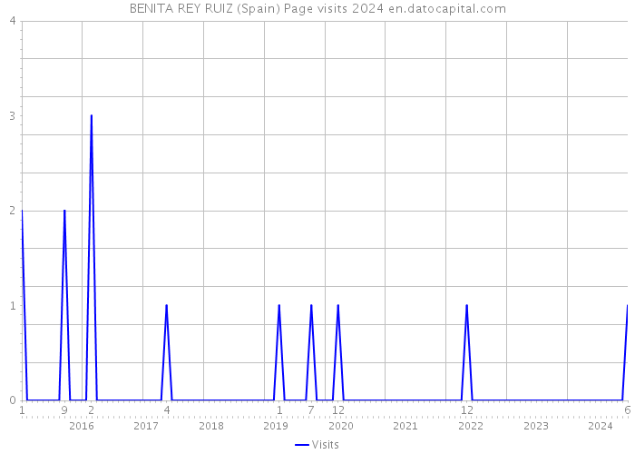 BENITA REY RUIZ (Spain) Page visits 2024 