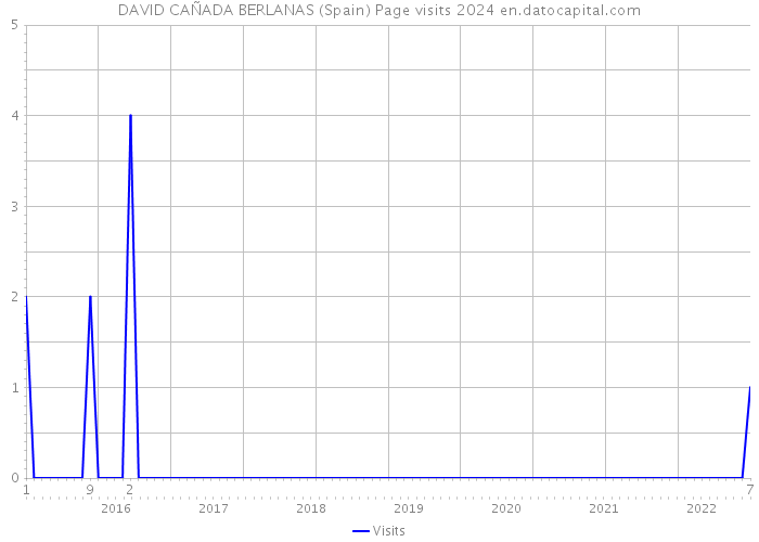 DAVID CAÑADA BERLANAS (Spain) Page visits 2024 