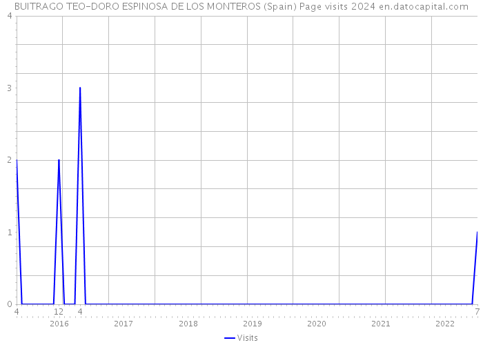 BUITRAGO TEO-DORO ESPINOSA DE LOS MONTEROS (Spain) Page visits 2024 