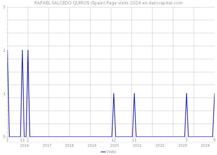 RAFAEL SALCEDO QUIROS (Spain) Page visits 2024 