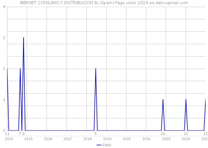 IBERNET CONSUMO Y DISTRIBUCION SL (Spain) Page visits 2024 