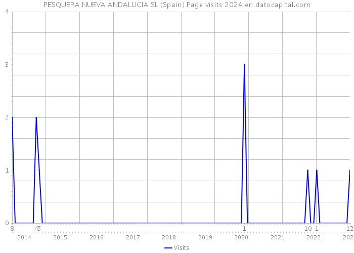 PESQUERA NUEVA ANDALUCIA SL (Spain) Page visits 2024 