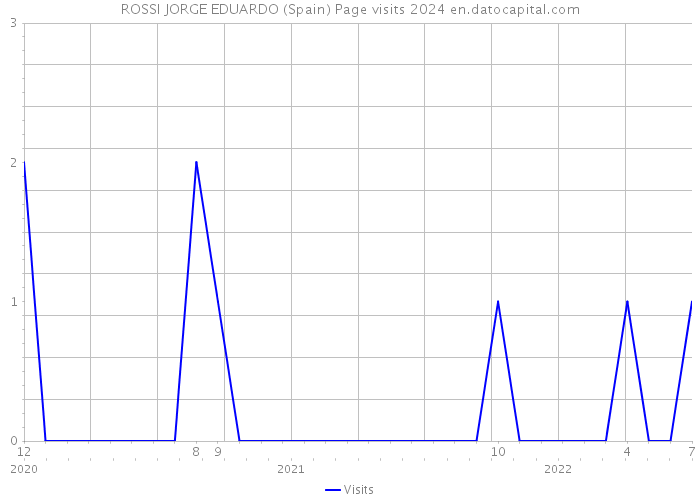 ROSSI JORGE EDUARDO (Spain) Page visits 2024 