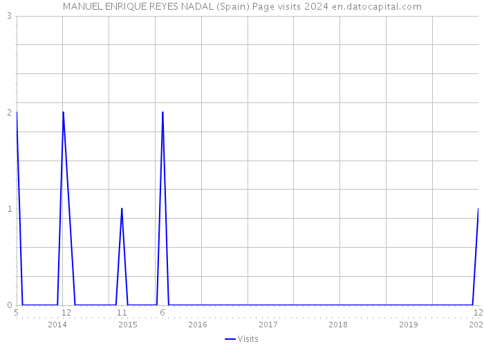 MANUEL ENRIQUE REYES NADAL (Spain) Page visits 2024 