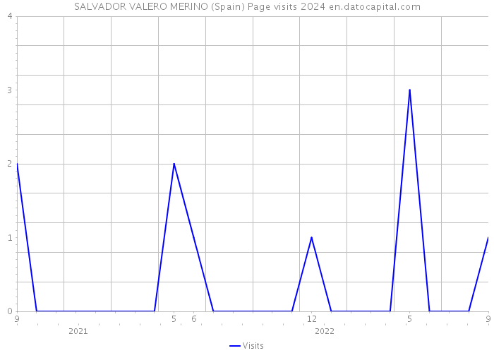 SALVADOR VALERO MERINO (Spain) Page visits 2024 