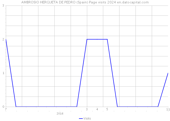 AMBROSIO HERGUETA DE PEDRO (Spain) Page visits 2024 