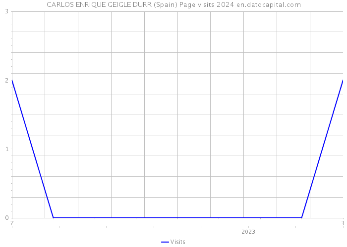 CARLOS ENRIQUE GEIGLE DURR (Spain) Page visits 2024 