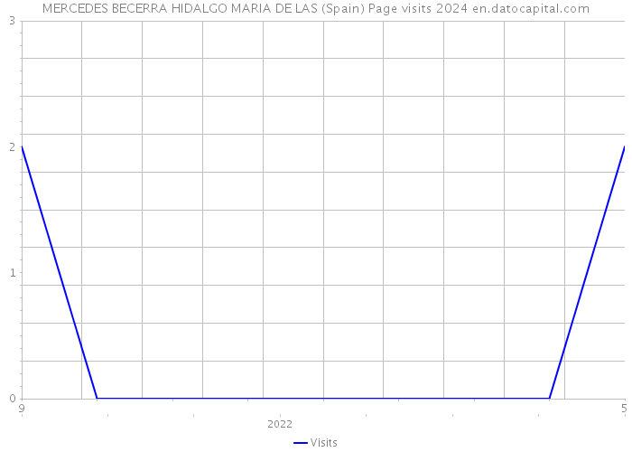 MERCEDES BECERRA HIDALGO MARIA DE LAS (Spain) Page visits 2024 